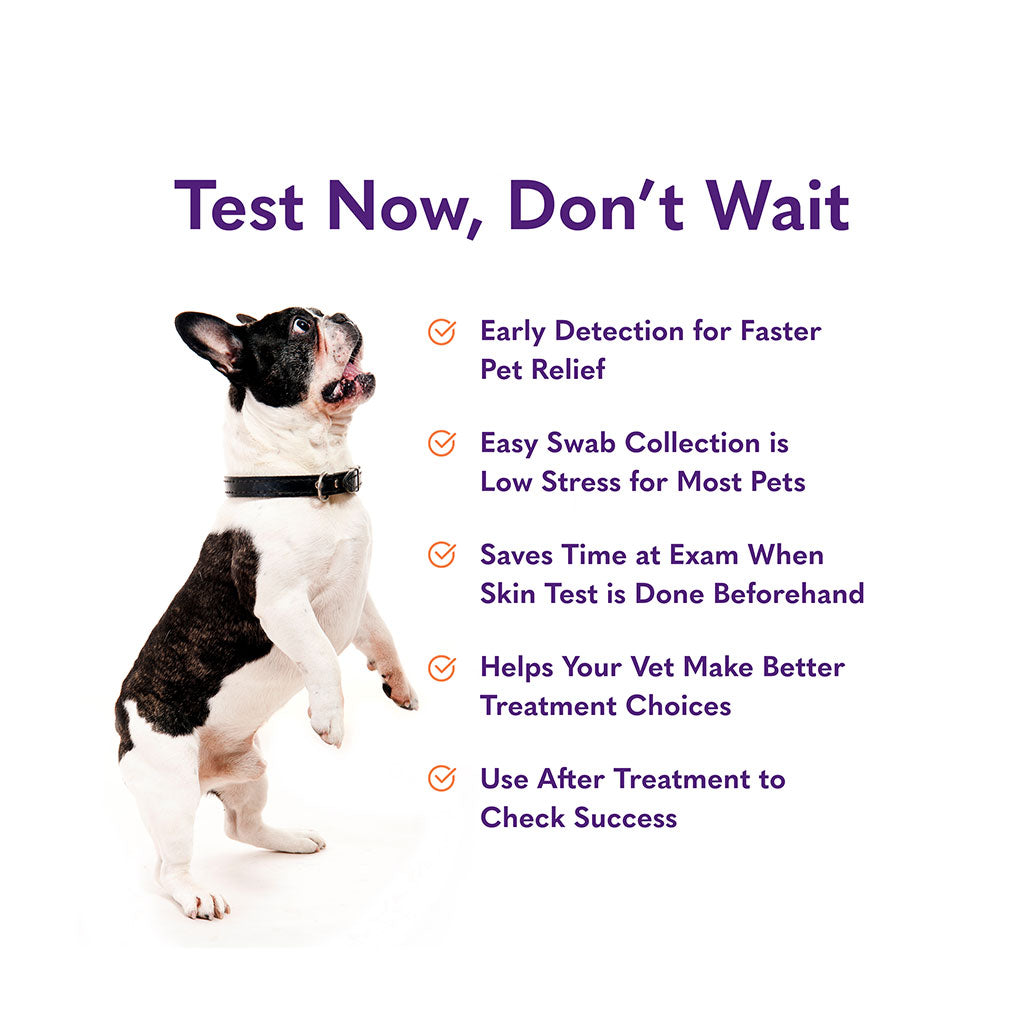 Skin & Itch Dog Test