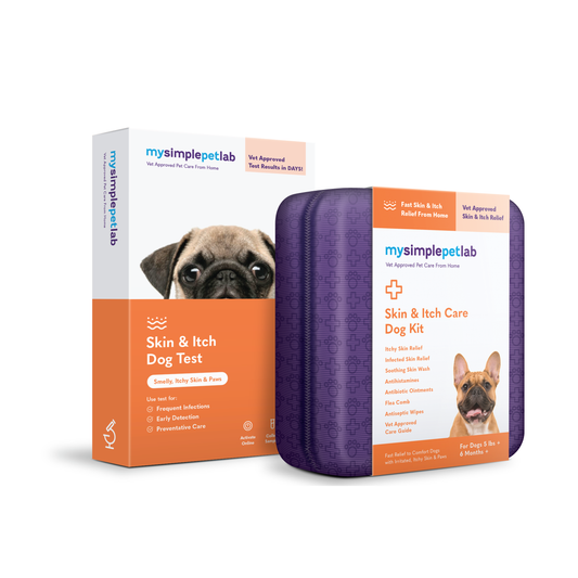Skin & Itch Test & Care Dog Bundle