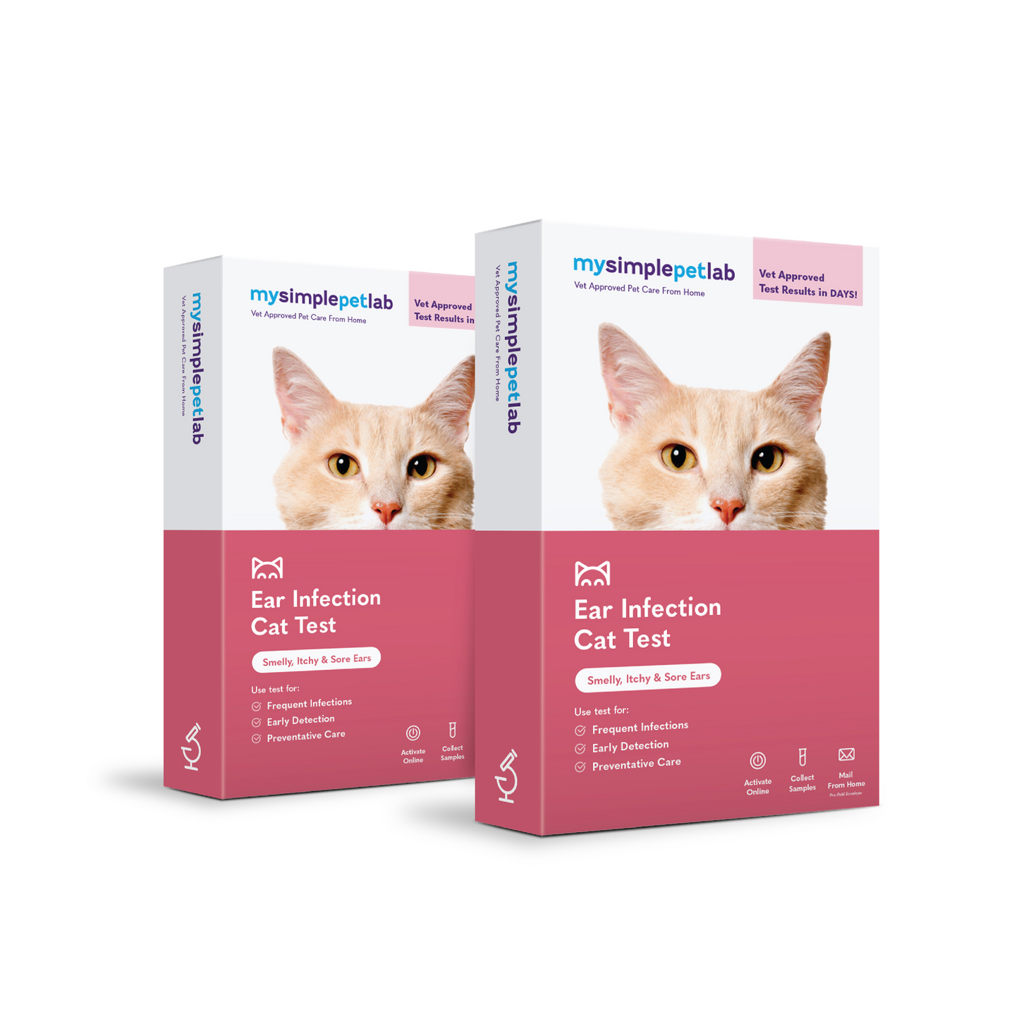 Ear Infection Cat Test Bundle