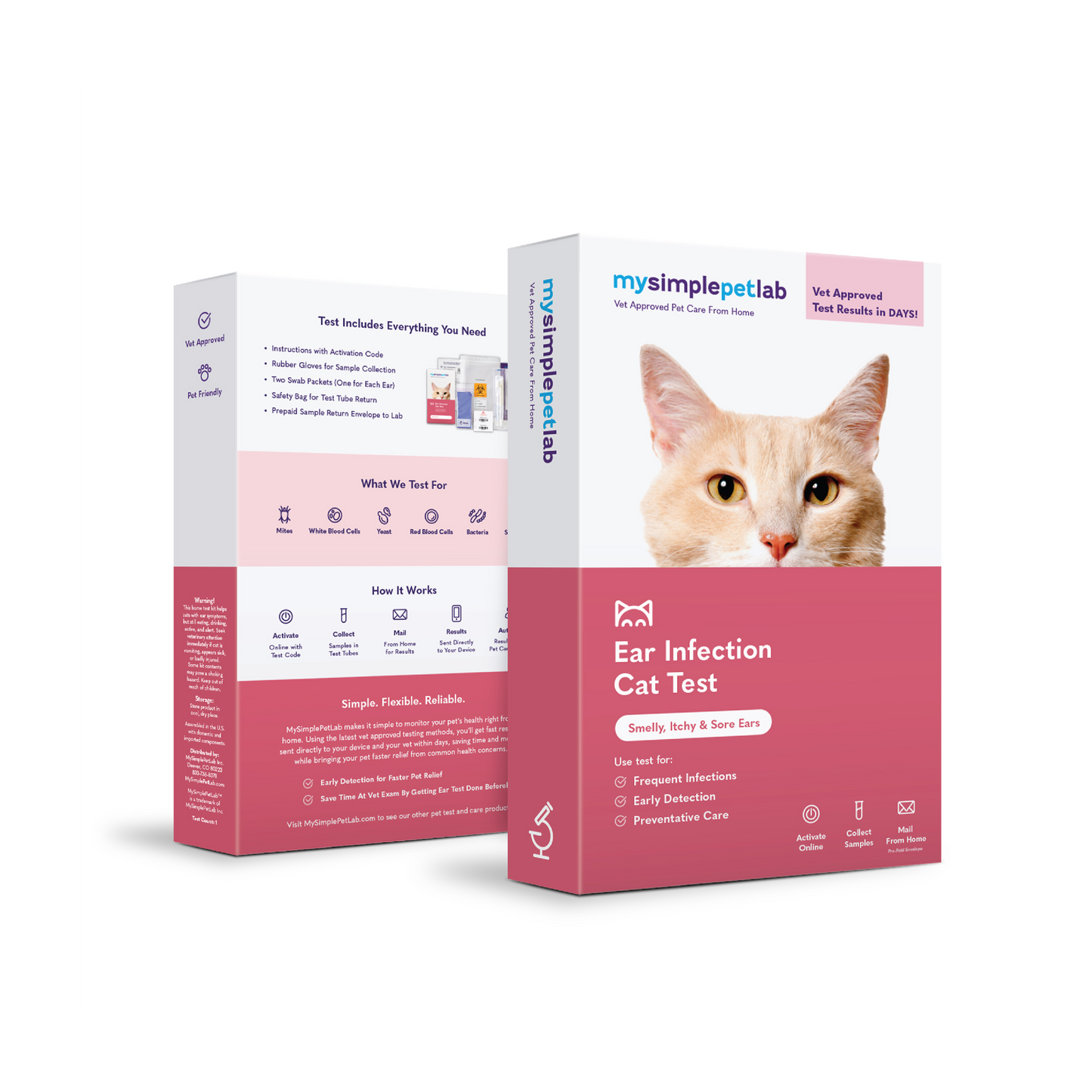 Ear Infection Cat Test Bundle