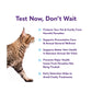 Routine Stool Cat Test