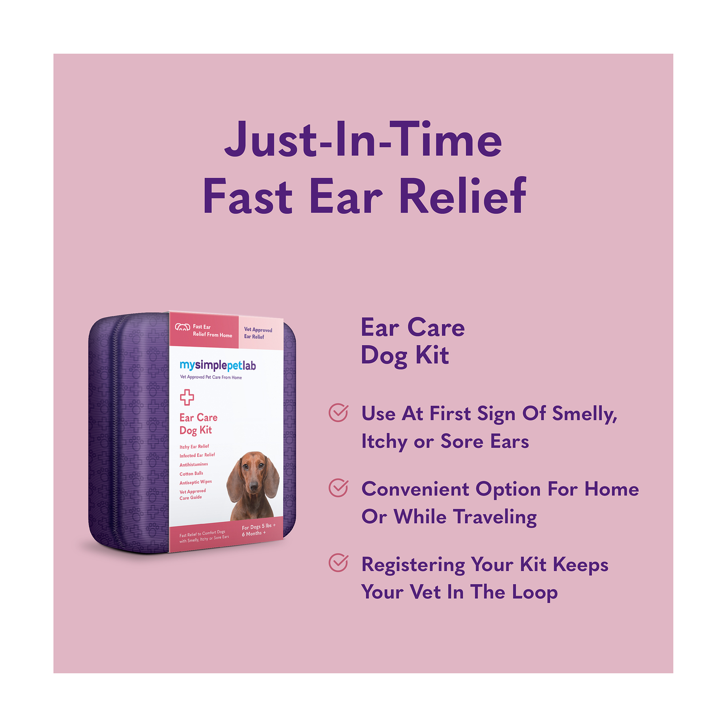 Ear Care Dog Kit